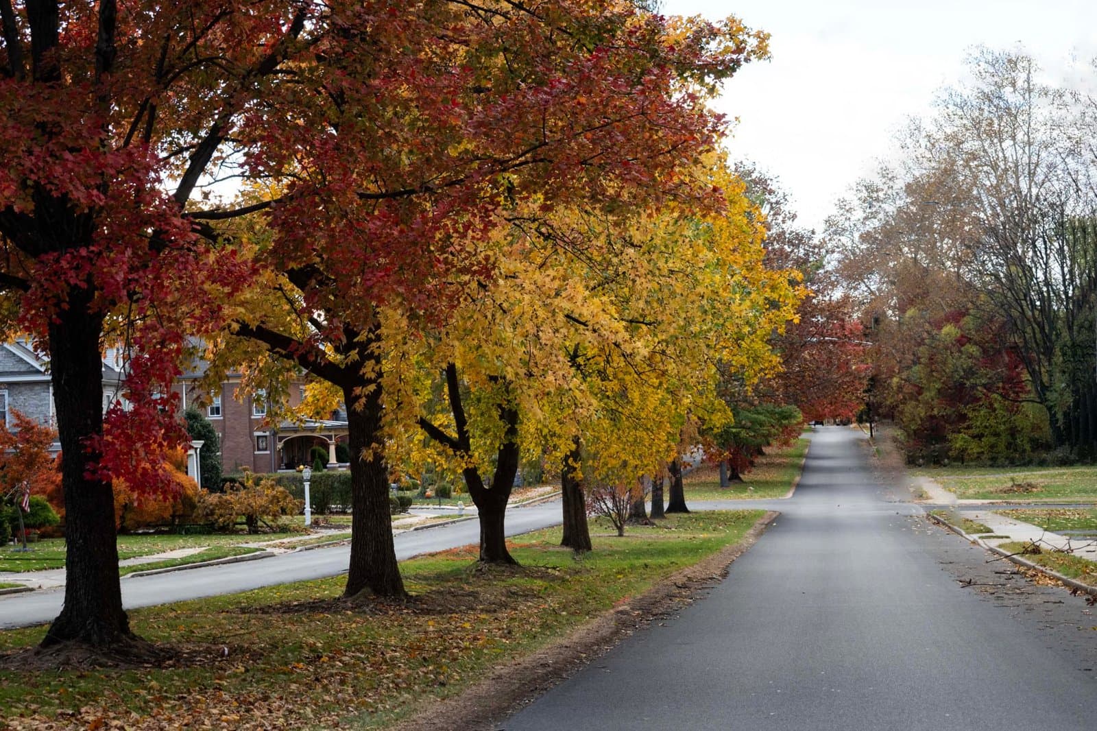 Brookline Property Taxes and $26,237 Average Bills