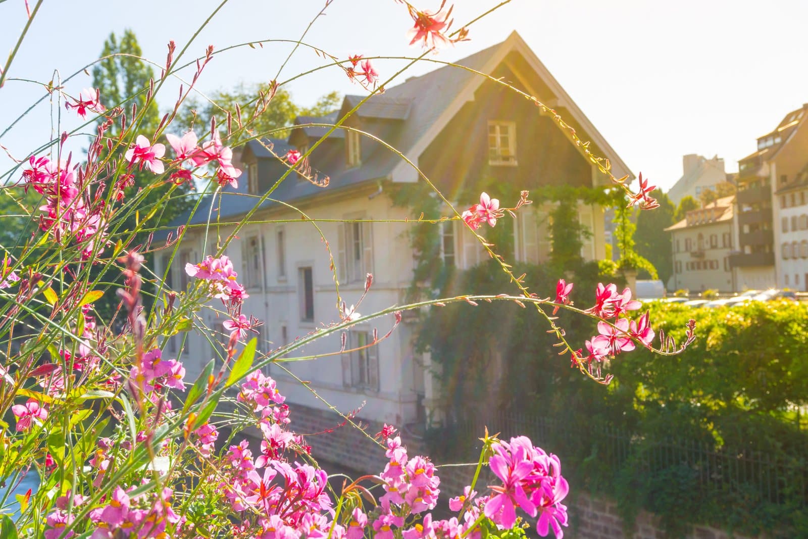 March 2026: Boston Suburbs Are Beating the Spring Slump—and Fast